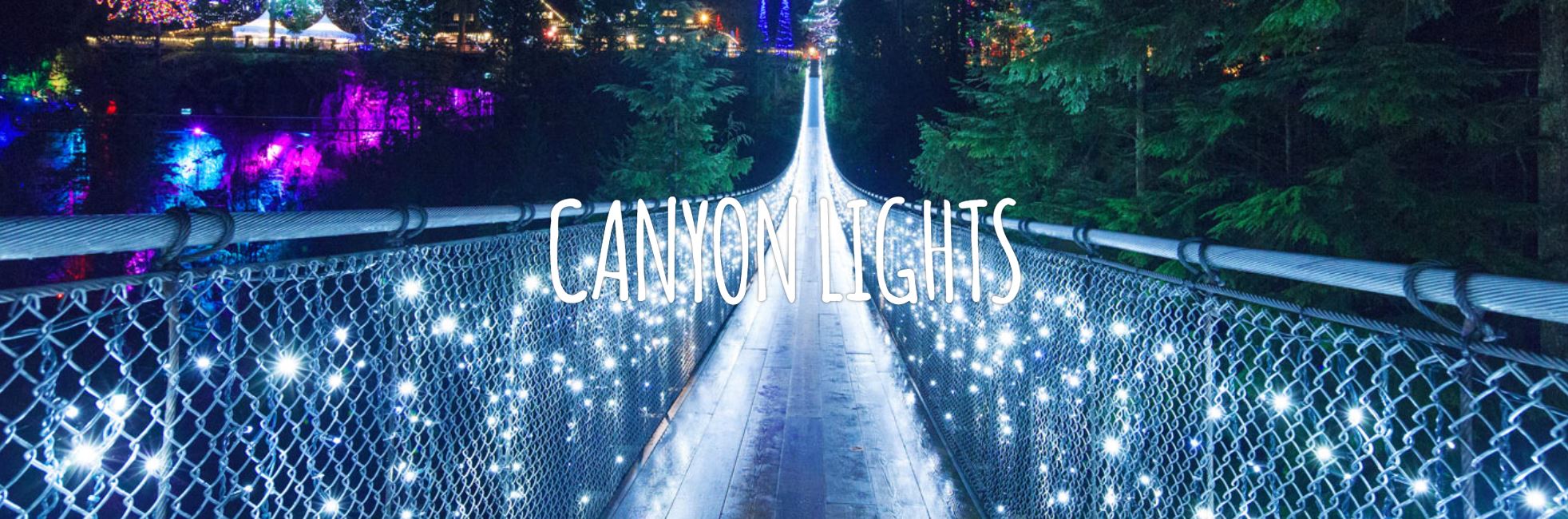 Canyon Lights